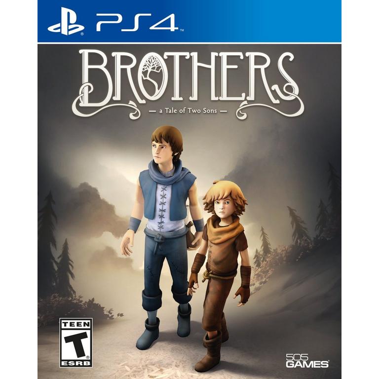 Brother`s PS4